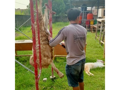 QURBAN 2023