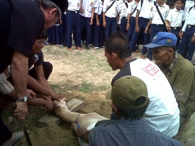 KEGIATAN QURBAN